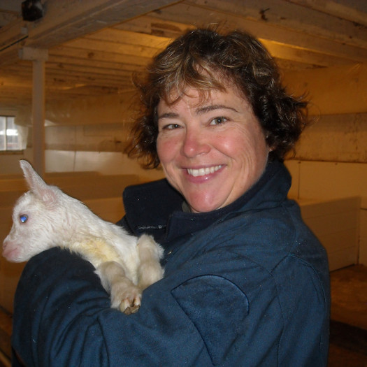 Nancy Wheelton