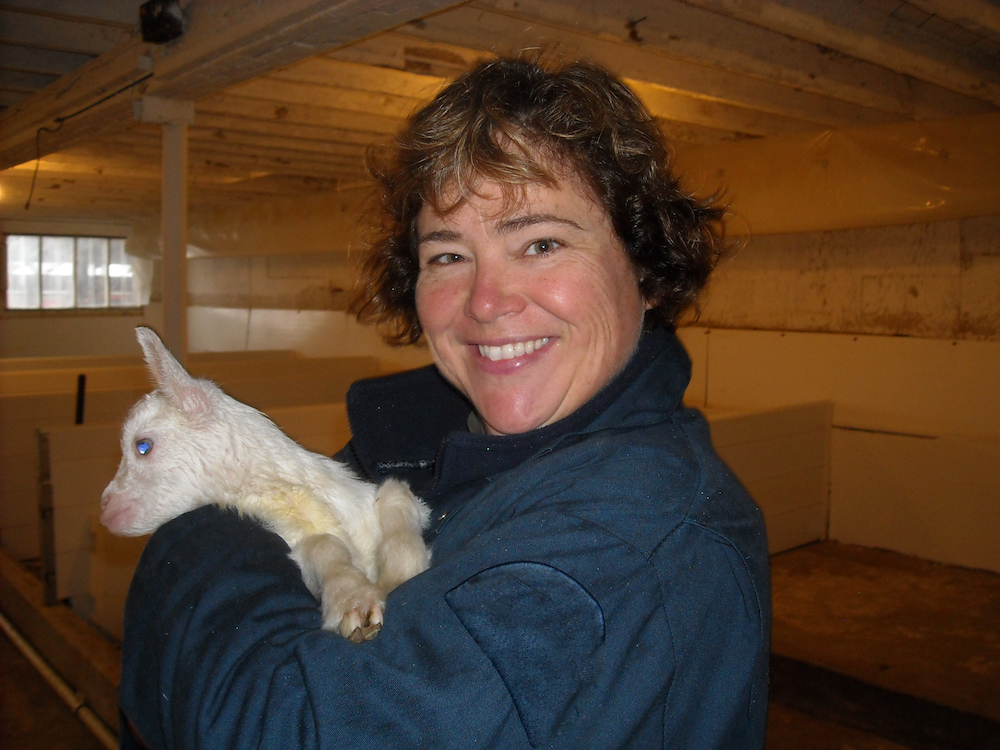 Nancy Wheelton