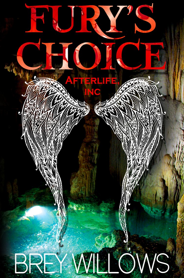 Fury's Choice