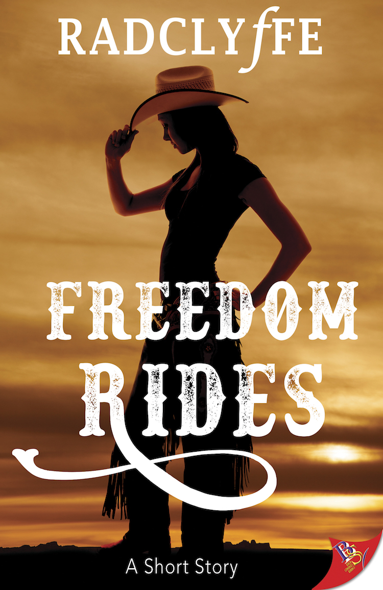 freedom ride novel essay