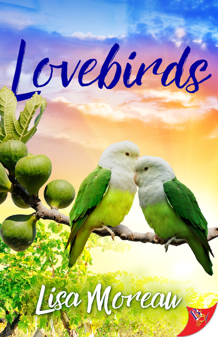 Lovebirds By Lisa Moreau Bold Strokes Books,Veggie Burger Trader Joes