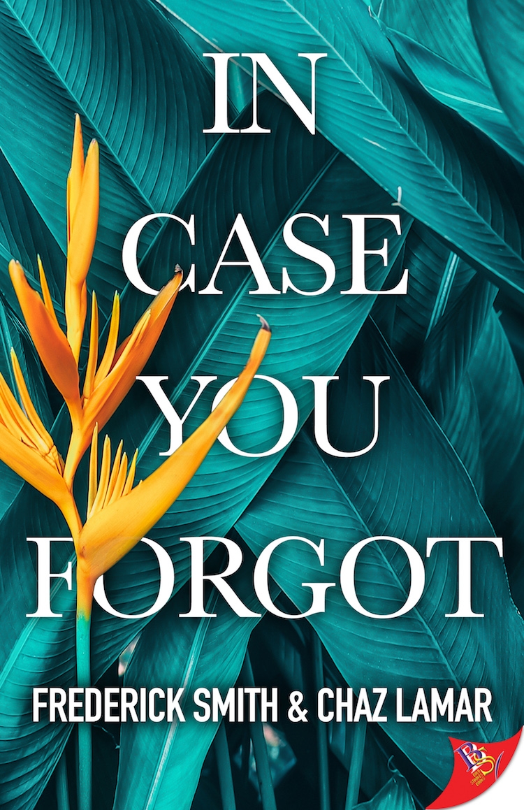In Case You Forgot by Chaz Lamar Cruz and Frederick Smith Bold Strokes Books image