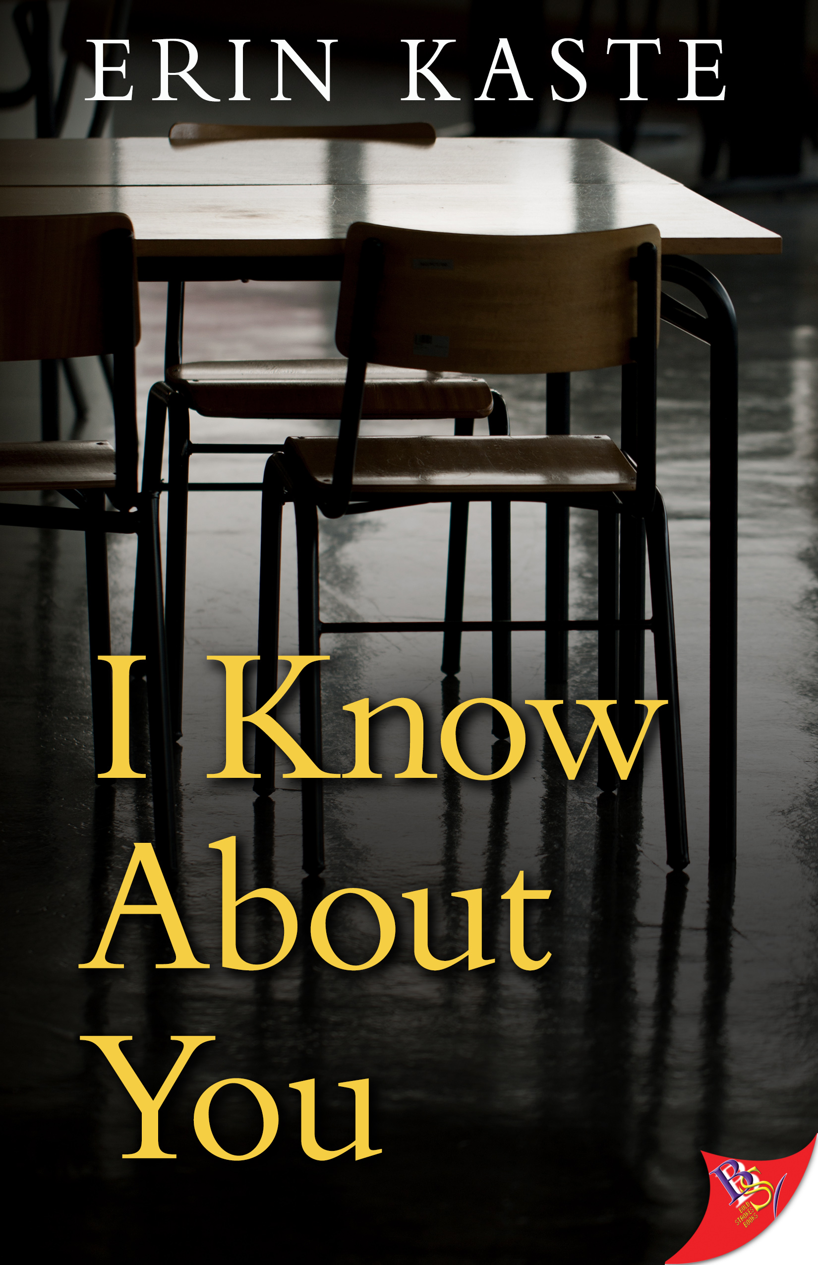 I Know About You by Erin Kaste Bold Strokes Books