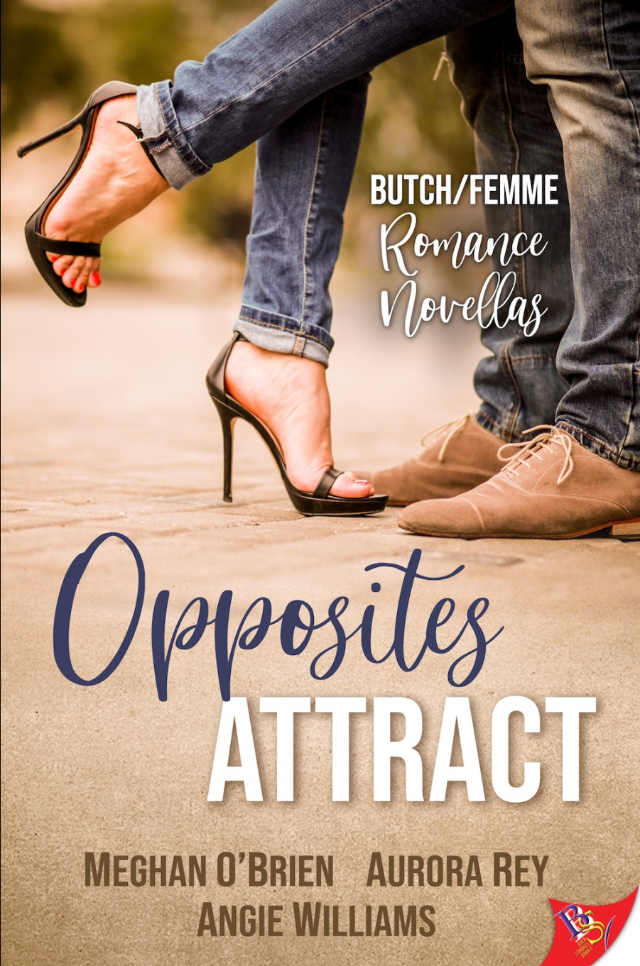 An Opposites Attract Butch/Femme Romance Novella