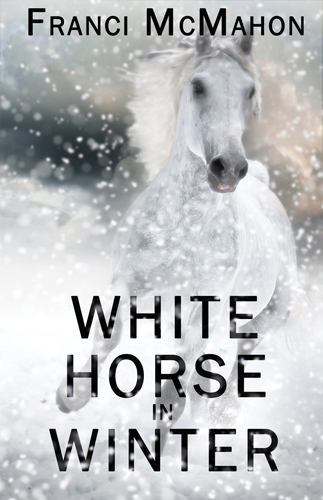 White Horse in Winter