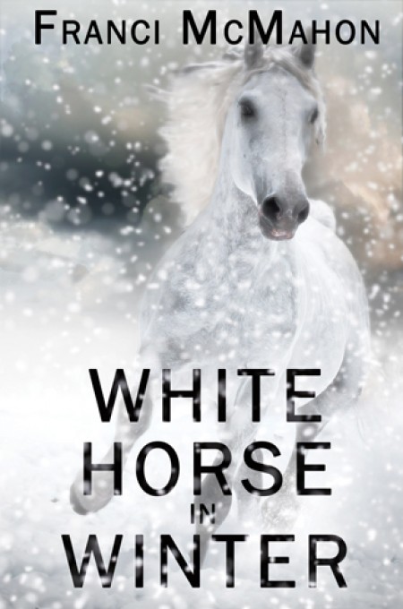 White Horse in Winter
