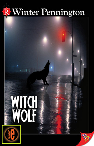 witch wolf by winter pennington witch wolf by winter pennington
